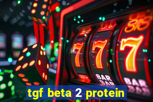tgf beta 2 protein